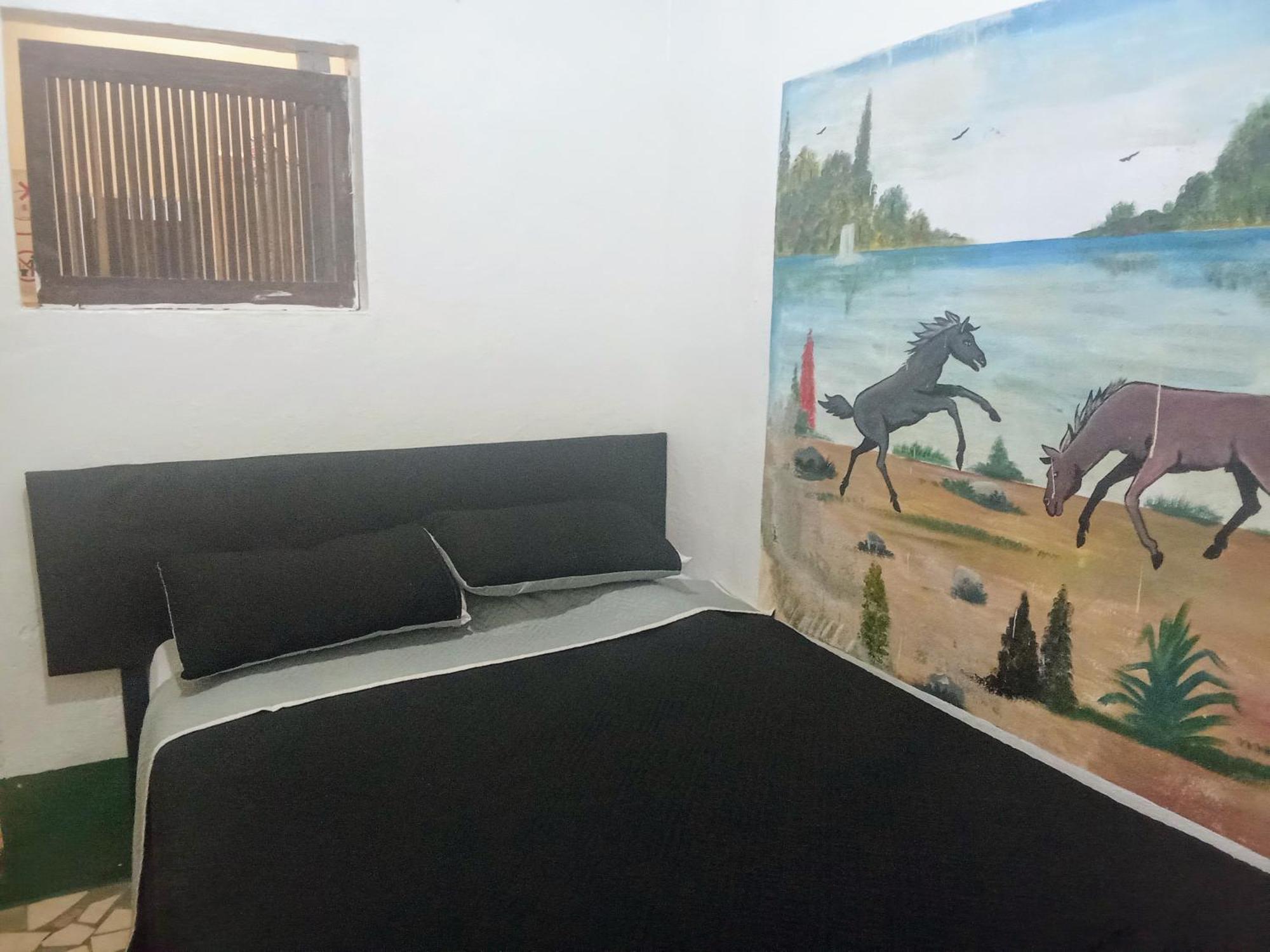 Zazil Ha Hostel El Remate Extérieur photo