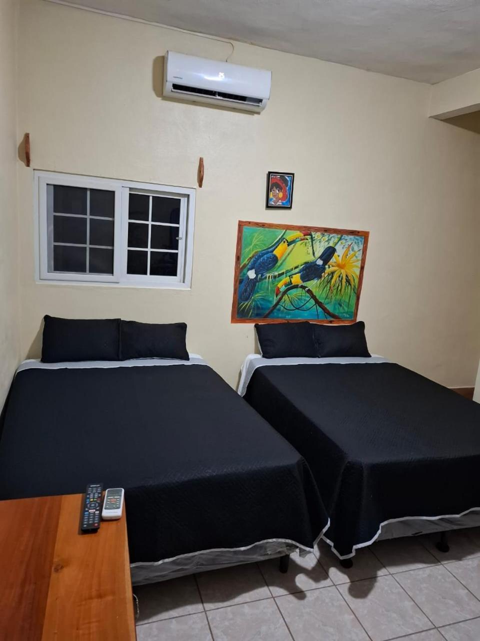 Zazil Ha Hostel El Remate Extérieur photo